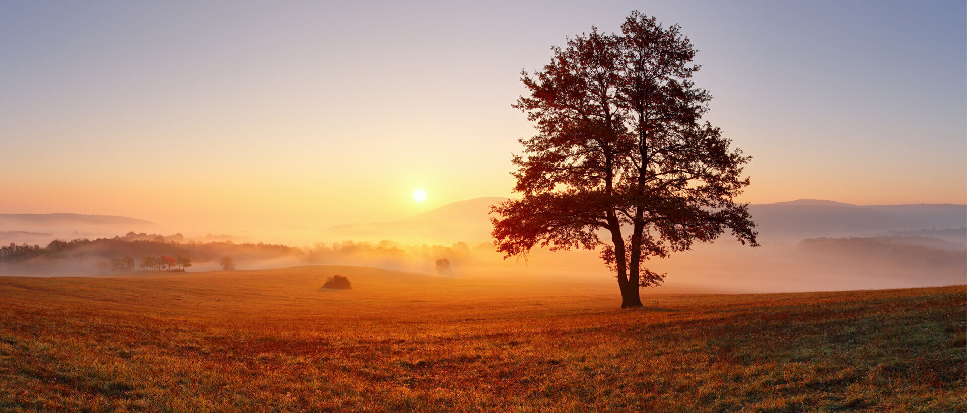 Beaudoin | Ferland | Dupuis - Maison Funéraire